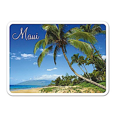 Die-Cut Tin Picture Magnet, Seaside Palm - Maui
