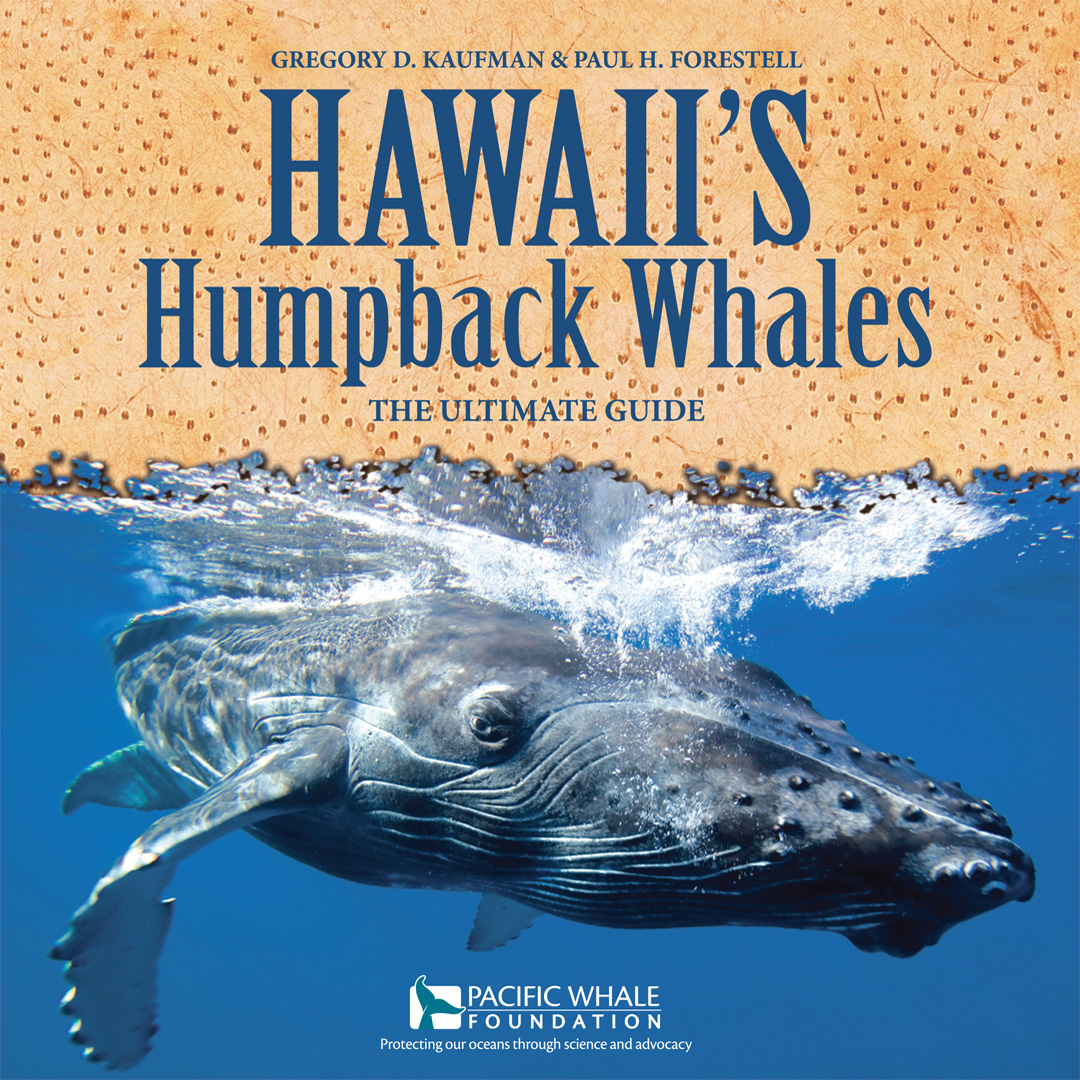 Hawaii's Humpback Whales: The Ultimate Guide