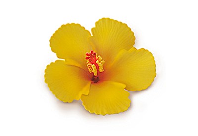 Foam Hibiscus Clip, Yellow
