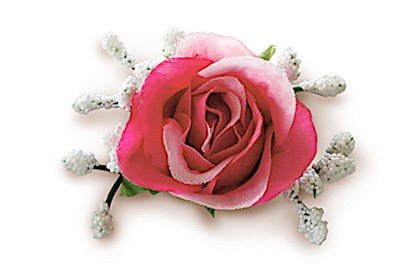 Single Silk Maui Tea Rose Clip, Pink