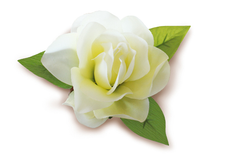 Silk Gardenia Clip, White
