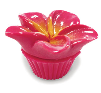 Lip Gloss - Pink Plumeria