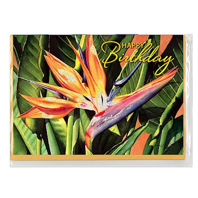 Greeting Card, Bird of Paradise by Garry Palm