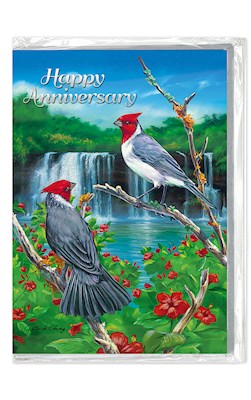 Hibiscus Cardinals