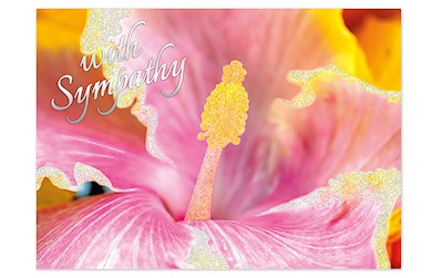 Sympathy Card Pink Hibiscus