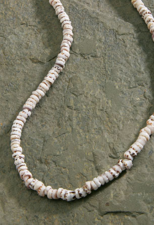 Shell Necklace, Small Tiger