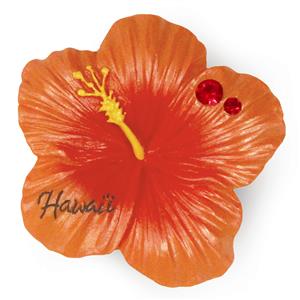 HP Polyresin Magnet, Hibiscus - Hawaii - Orange
