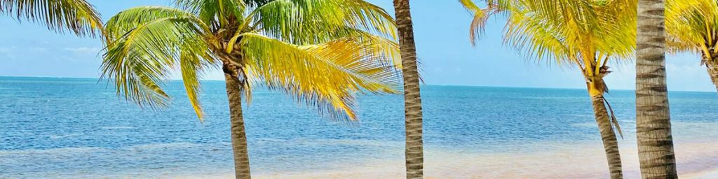 hawaii beach gifts souvenirs